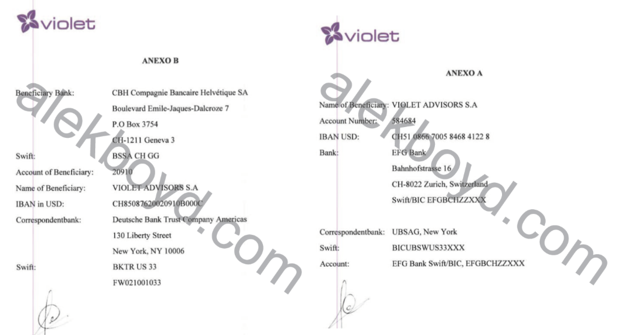 Detalles de cuentas de Violet Advisors en EFG Bank / Compagnie Bancaire Helvetique