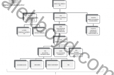 Banco del Orinoco N.V. ownership structure.