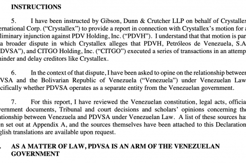 Jose Ignacio Hernandez's expert opinion on CITGO / PDVSA