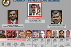 Chavista criminal organisation.